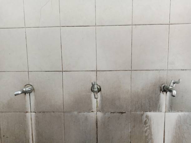 Best Flood restoration services  in Mechanicsburg, PA