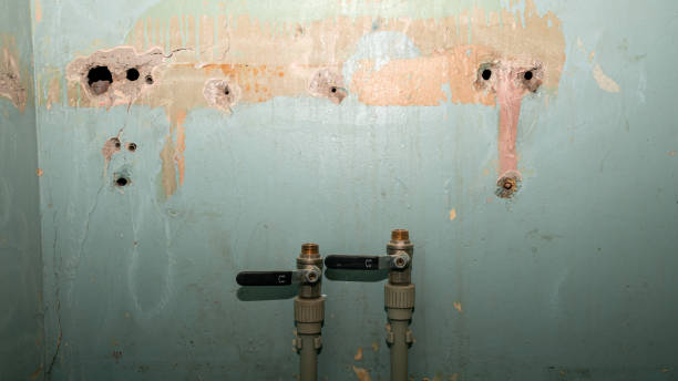 Best Basement water damage restoration  in Mechanicsburg, PA