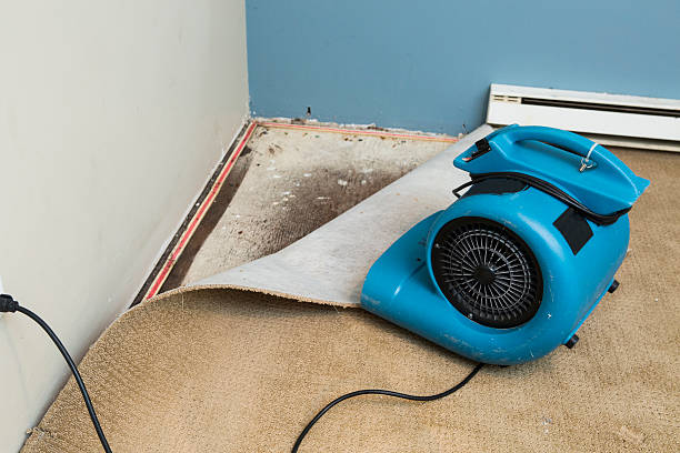 Mechanicsburg, PA Water damage restoration Pros
